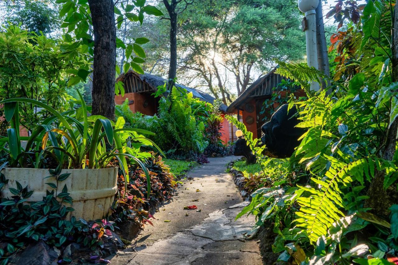 Victoria Falls Backpackers Lodge Exteriér fotografie