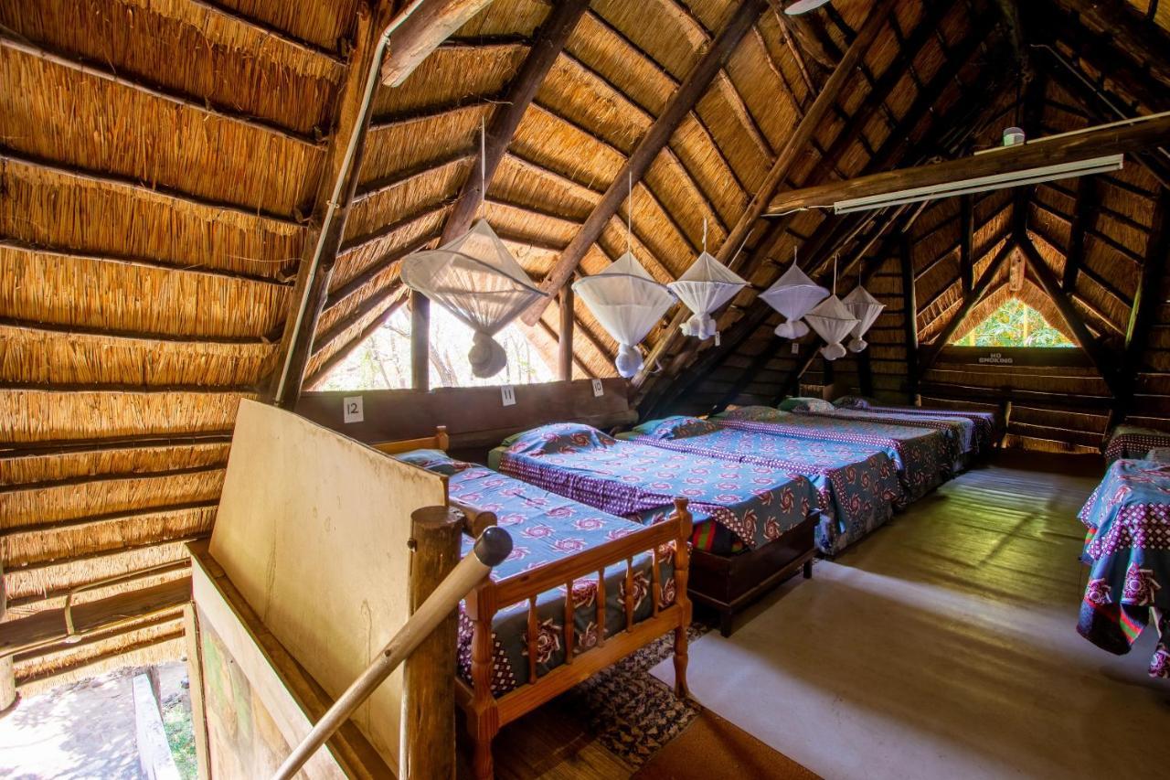 Victoria Falls Backpackers Lodge Exteriér fotografie