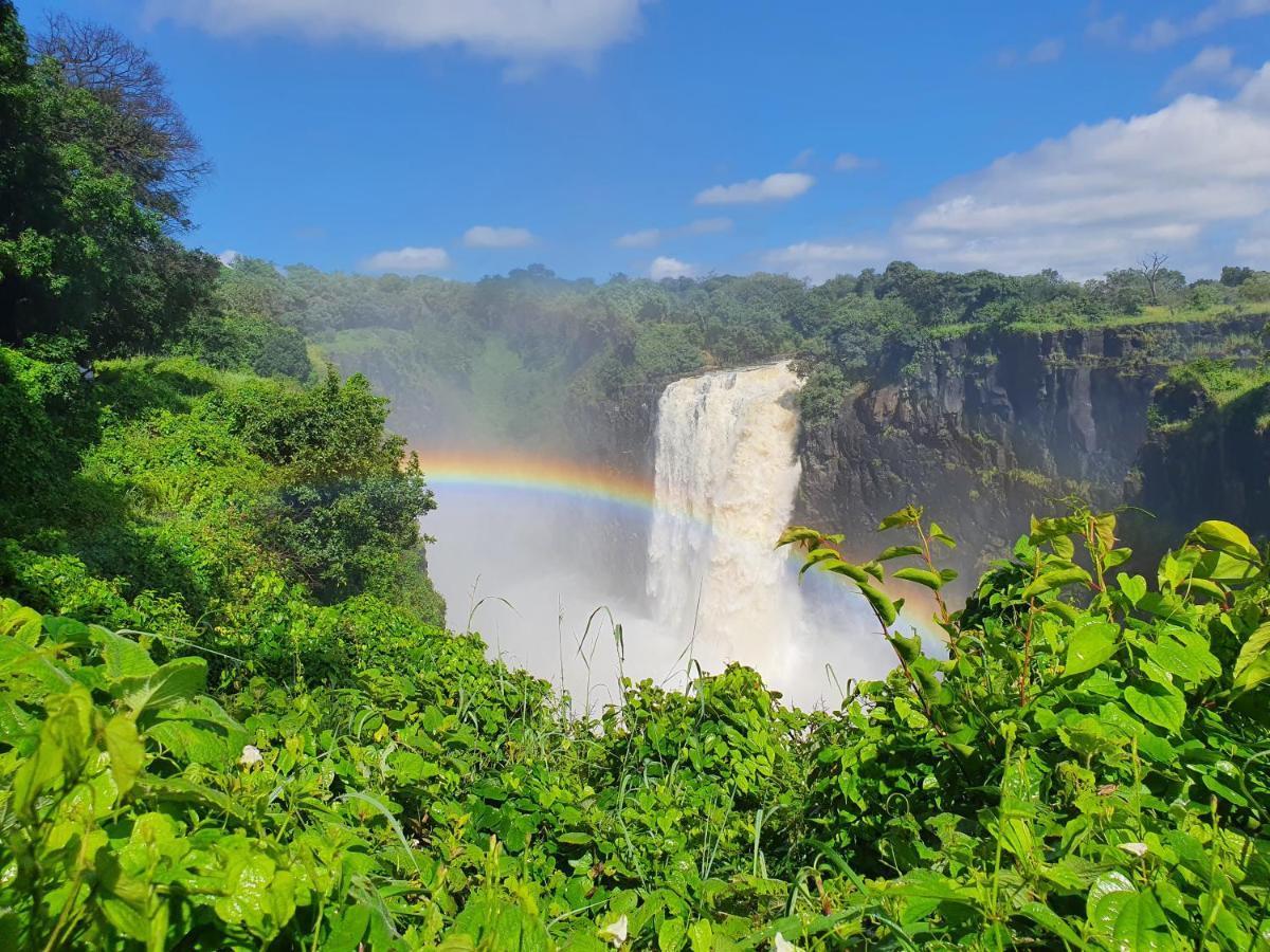 Victoria Falls Backpackers Lodge Exteriér fotografie