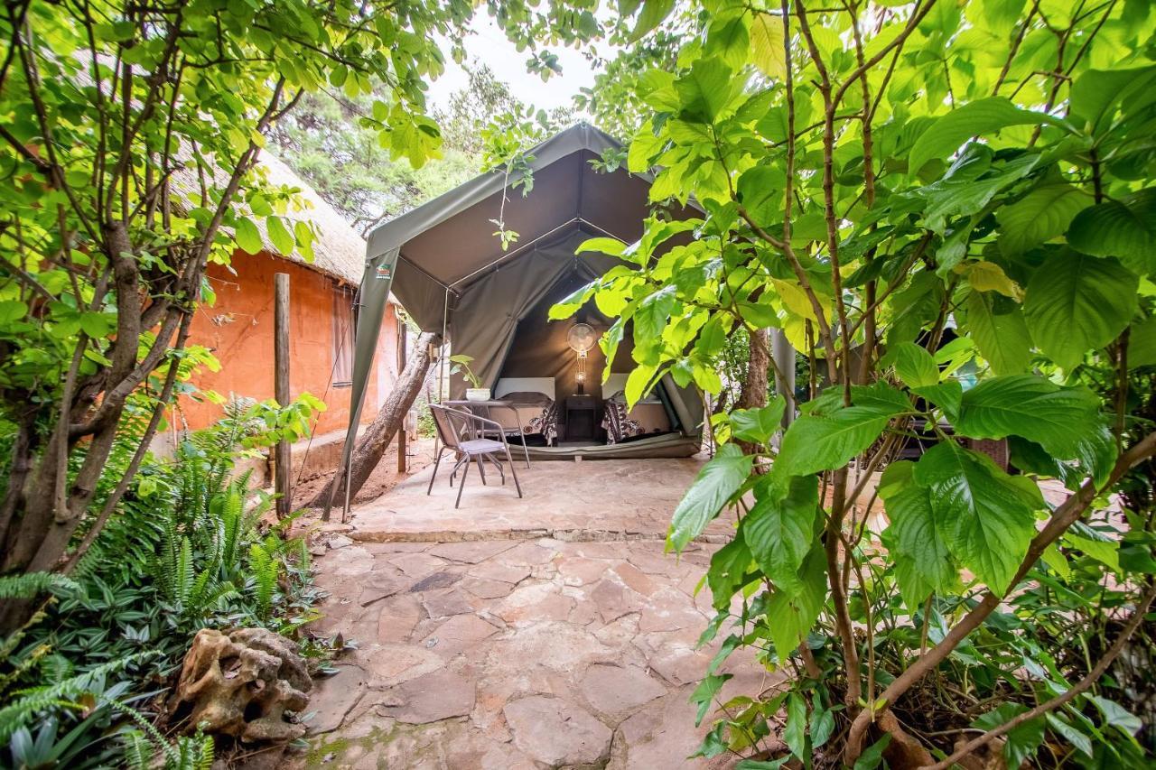 Victoria Falls Backpackers Lodge Exteriér fotografie