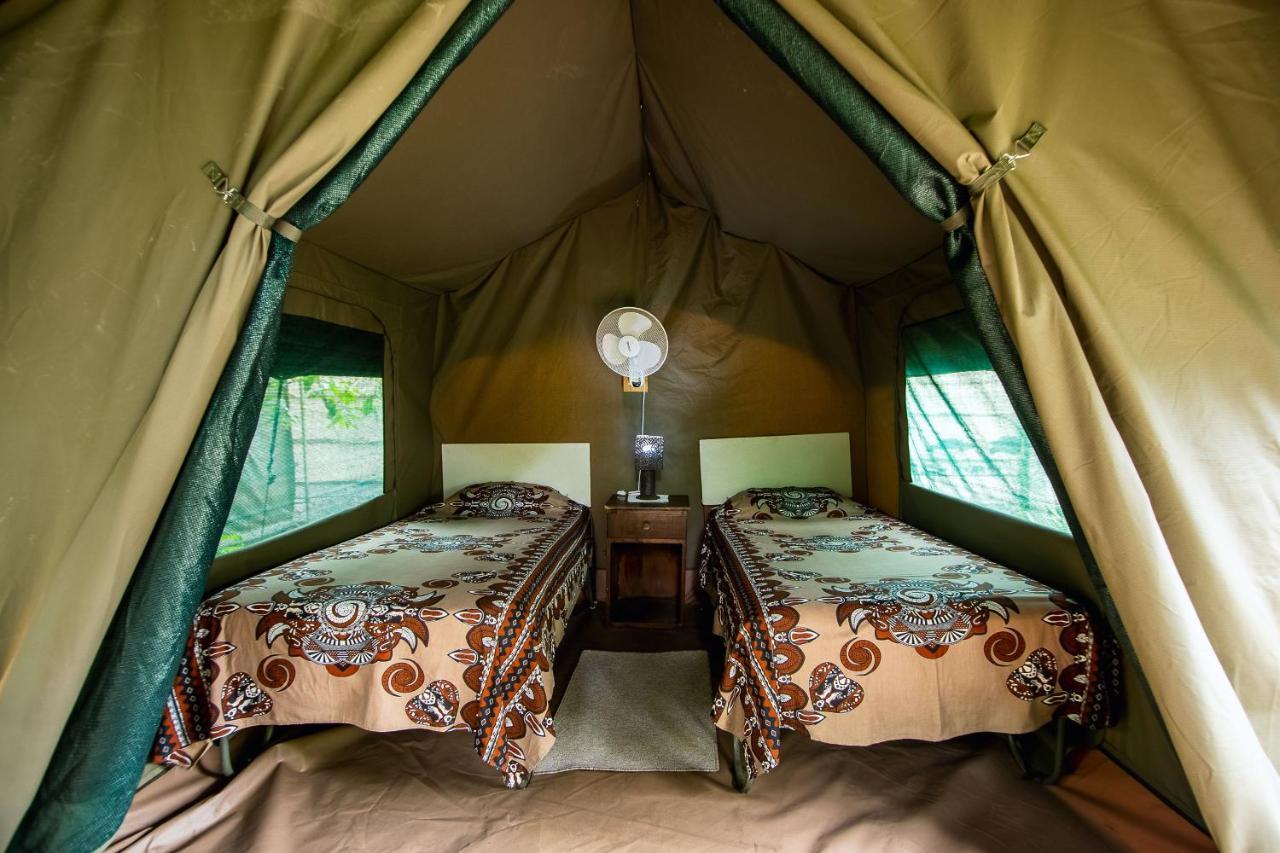 Victoria Falls Backpackers Lodge Exteriér fotografie