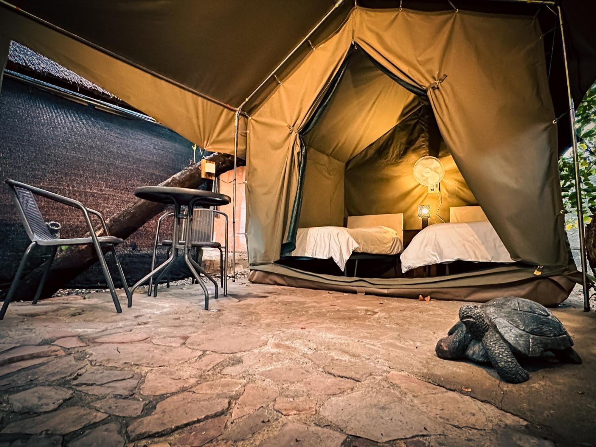 Victoria Falls Backpackers Lodge Exteriér fotografie